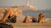 Pomalo: Croatia's delightful philosophy of slow living
