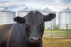 Sumer Trip To Guatemala Looks To Benefit U.S., Oregon Beef