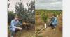 Greek citrus season ramps up, sizes and demand at satisfactory levels