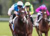 Hong Kong Next Target For Arc Third Sosie