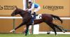 Hong Kong target for Arc third Sosie