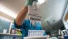 Mexico’s scientists urge rules on gene-edited crops