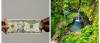 Dominica Hotel and Tourism Association to gov’t: stop hike in visitor fees immediately