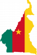 Cameroon election: People’s will must be protected – Groups