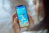 DANA and Ant International Launch Digital Initiative for Marine Conservation in Indonesia