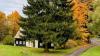 Prague Has Chosen Its 2025 Christmas Tree for Old Town Square