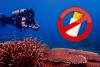 Tourists Face $3,070 Penalty for Banned Sunscreens in Thai Marine Parks