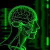 Scientists Discover Innovative Method to Accurately Measure Your True Biological Age