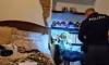 Drug trafficking ring busted in Italy — 9 arrested, including 8 Albanians