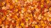 Do you really need to rake your leaves?