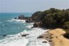 CIP bids in Colombia's first offshore wind auction