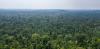 Protecting Brazil and Indonesia’s tropical forests requires political will, law enforcement and public pressure