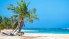 Budget airline now flys to tropical paradise with glowing bays & the world’s ‘most beautiful’ beach — for $37