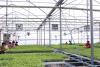 Unprepared for Transition to Smart Agriculture