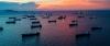 Global Shipping Emissions Deal Sinks After Last-Minute Collapse