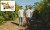 How Aussies are scoring farm-fresh produce CHEAPER than supermarkets: 'The best grocery secret ever'