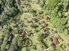 Corcovado Wilderness Lodge Is the Sustainable Gateway to Costa Rica’s Most Remote National Park