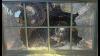 Owners of The Terrace at Delaware Park seek help as vandals damage restaurant
