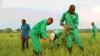World Bank says AgriConnect helping small farmers move from subsistence to surplus