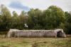 In Romania, the war next door seeps into the Danube Delta