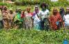 Cameroonian women rebuild livelihoods through empowerment projects in conflict zones