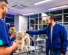 El Salvador’s Bukele Swaps Iron Fist for Open Palm in a New Crusade: Saving Stray Animals