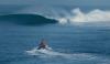 Kai Lenny Found a Pair of Epic Waves In El Salvador