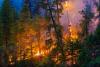 Business briefs | Six Rivers hiring wildland firefighters