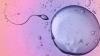 Science ScienceAlert Scientists Caught Sperm Ignoring A Major Law of Physics