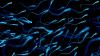 Science ScienceAlert Older Men's Sperm Carry More Mutations, And They May Turn Harmful