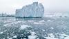 Researchers make disturbing discovery in one of most remote locations on Earth: 'They can be transported there'