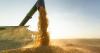 Brazil to surpass record soybean exports in 2025