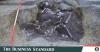 Skeletons in 1,700-year-old Croatian mass grave are Roman soldiers: study