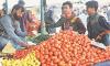 Consumers face tomato shock amid govt’s inaction