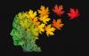 The Midlife Metabolic Window: Scientists Uncover When the Brain’s Aging Can Still Be Reversed