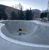 Colorado Parks and Wildlife rescues young moose from Breckenridge Skatepark