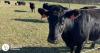 University of Delaware launches new tool for Ag and Aquaculture Communities