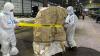 Philippines Investigates Source of Cesium-137-Contaminated Container Shipment to Indonesia