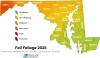 Maryland Fall Foliage Report For October 19, 2025 – Western Maryland Reaches Peak