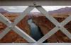 Despite the finger pointing, California and the lower basin, are doing our part for the Colorado River (Letters)