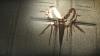 Science Just Crowned The Scariest Movie Of All Time (& It’s Streaming Free Right Now)
