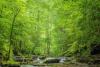Nature-Based Solutions: A Policy And Investment Framework For A Healthier Planet, People, And Communities