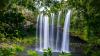 Kerikeri: Northland’s Art, Food and Culture Capital