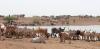 Afrique de l’Ouest : l'effondrement du système de surveillance commerciale met en péril la sécurité alimentaire