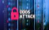 Guarding your business in the digital age: Why last mile DDoS protection is essential for every SME