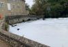 Environment Agency investigating after fish die in foam layer on river