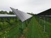 Spain makes agrivoltaic projects eligible for farm subsidy program