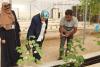 Jerash Achieves Breakthrough in Cotton Cultivation at Faisal Agricultural Nursery
