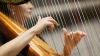 For the first time on stage in Bulgaria – a harp octet