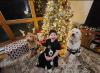 Science Says New Yorkers Who Decorate Early Are Happier